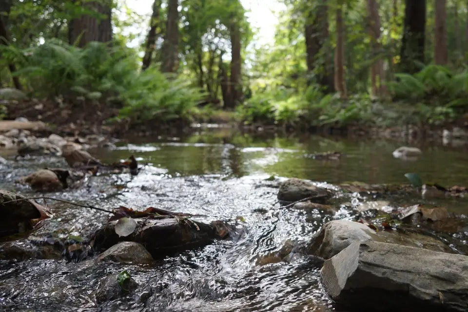 Hacienda Los Rosales-Haciendas-CDMX