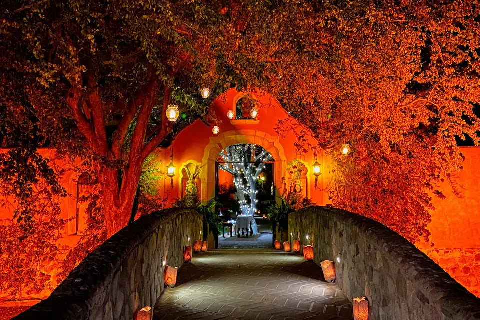 Hacienda el Palmar-Haciendas-CDMX