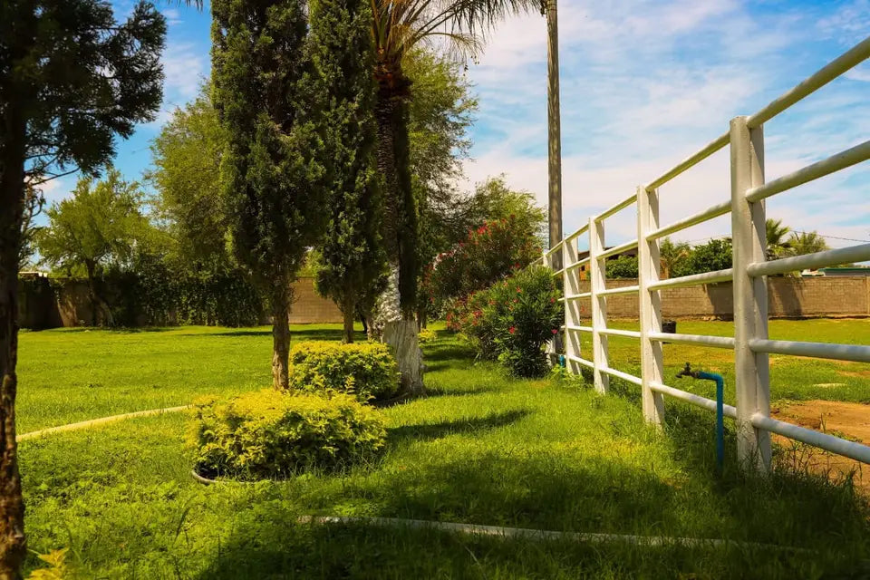 Granja La Peña-Haciendas-CDMX