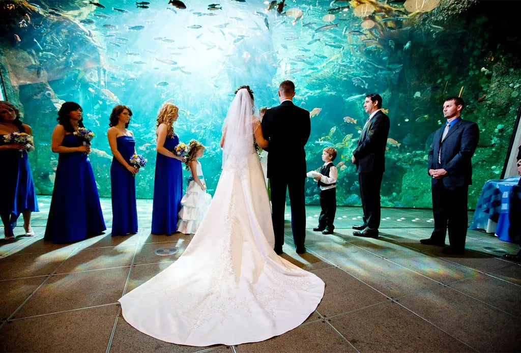 Lugares de Boda Inusuales  | 2024