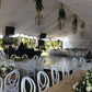 Intercarpas Garrido-Carpas-CDMX