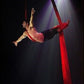 Show Acrobacia Aérea CDMX