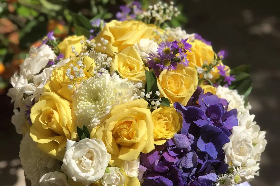 Flor de Amapola-Flores-CDMX