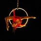 Show Acrobacia Aérea CDMX