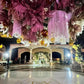 Baúl Orquídea- Flores- CDMX