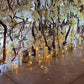 Baúl Orquídea- Flores- CDMX