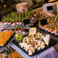 Catering infantil CDMX