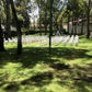 Hacienda Jerónimo