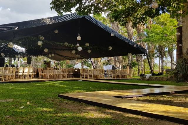 Carpa Negra