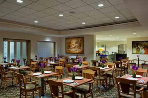 Hotel Safari-Hoteles-CDMX